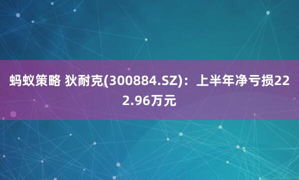 蚂蚁策略 狄耐克(300884.SZ)：上半年净亏损222.96万元