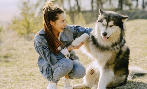 一片红配资 宠物是“天然抗抑郁药”？研究显示，宠物可以从四个方面促进我们的心理健康！