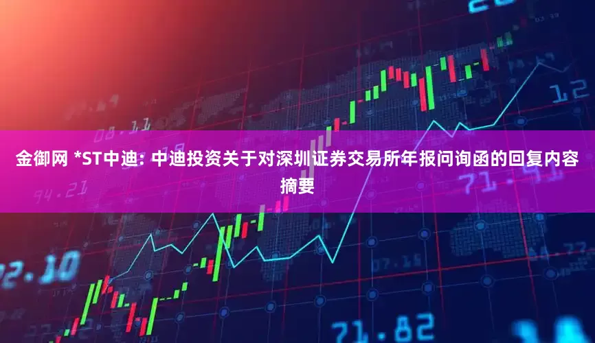 金御网 *ST中迪: 中迪投资关于对深圳证券交易所年报问询函的回复内容摘要
